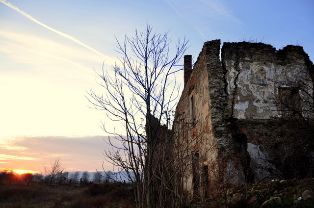 Rămășițele castelului / Sursa foto: Florian-Rareș Tileagă